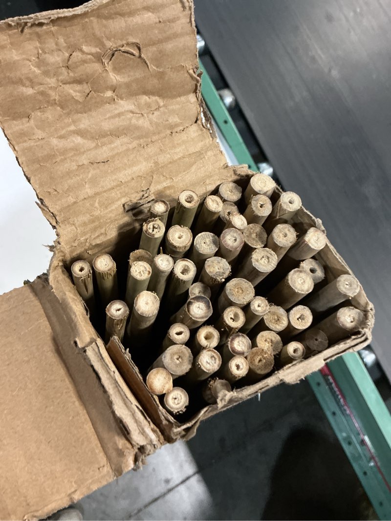 Condition photo showing Good Condition for bamboo stakes for plants, 50 pack bamboo stakes 5 feet(58in, approx 5ft), natural garden stakes for tomatoes and climbing plant support, sturdy bamboo plant stakes 50 58 inch