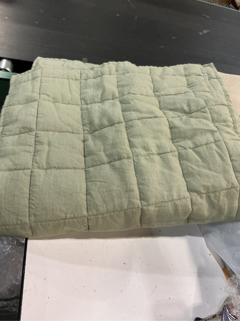 Condition photo showing Good Condition for quince european linen box quilted sham set cover color: willowleaf size king 