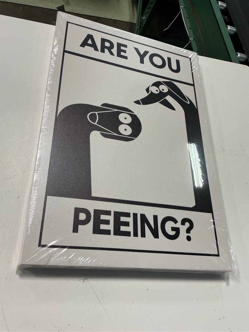 Condition photo showing New/Like New for framed funny bathroom wall art, are you pooping sign and are you peeing sign wall decor, cute black cat dog pictures canvas prints paintings humor home decor for restroom toilet 12x16 inch
