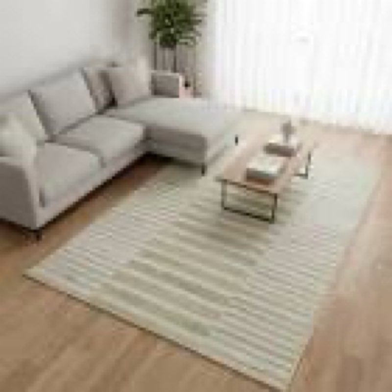 Muddy Mat® Creamline 3ft x 5ft Washable Area Rugs for Living Room, Bedroom & Dining Room – Modern So