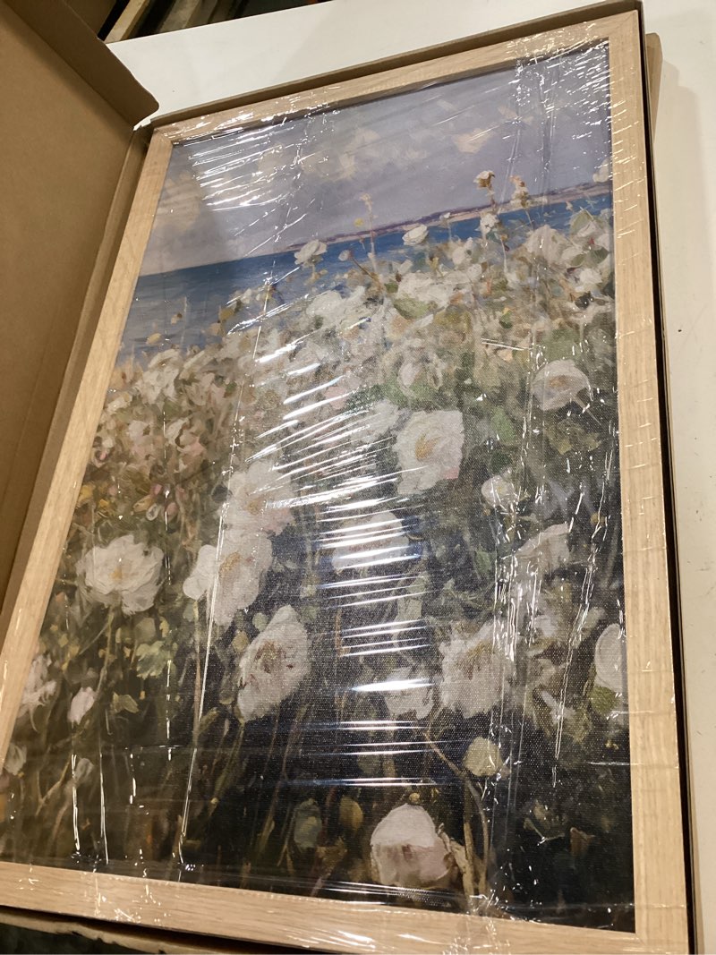 Condition photo showing Good Condition for 2pcs framed landscape wall art coastal floral canvas beach scenery poster painting for living room bedroom gallery home decor 16x24 inches ready to hang white flowers and sea 16x24 inch