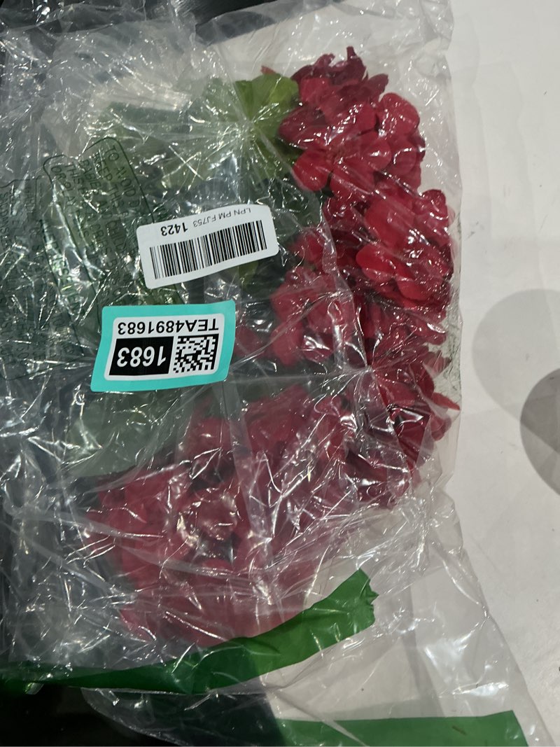 Condition photo showing Good Condition for 18'' artificial geraniums silk flowers plants realistic for home outdoor decor garden (2, ruby red) ruby red 2