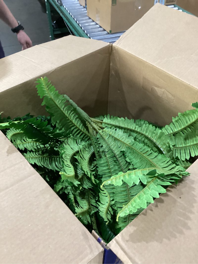 Fake Plants