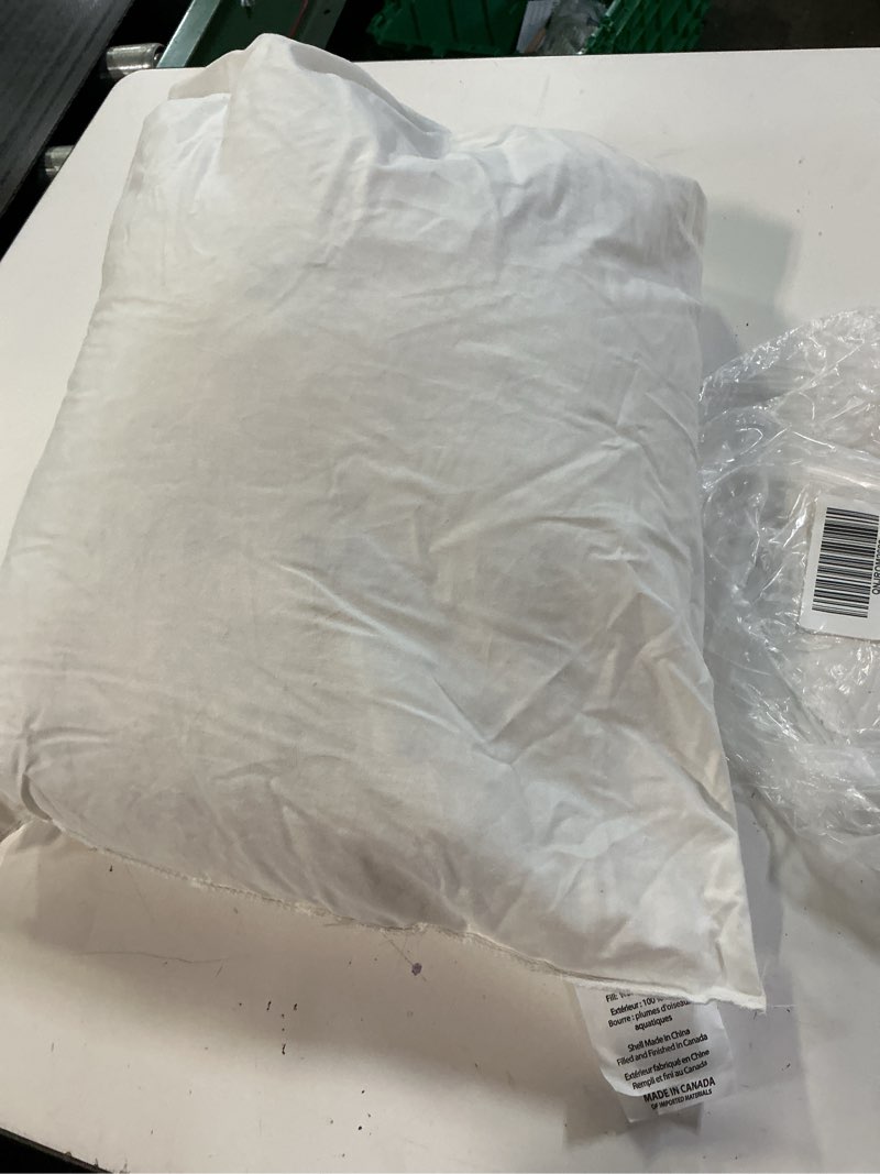 Condition photo showing As Is for (incomplete   only 1 pcs premium feather pillow insert (set of 2), 12x20, no color