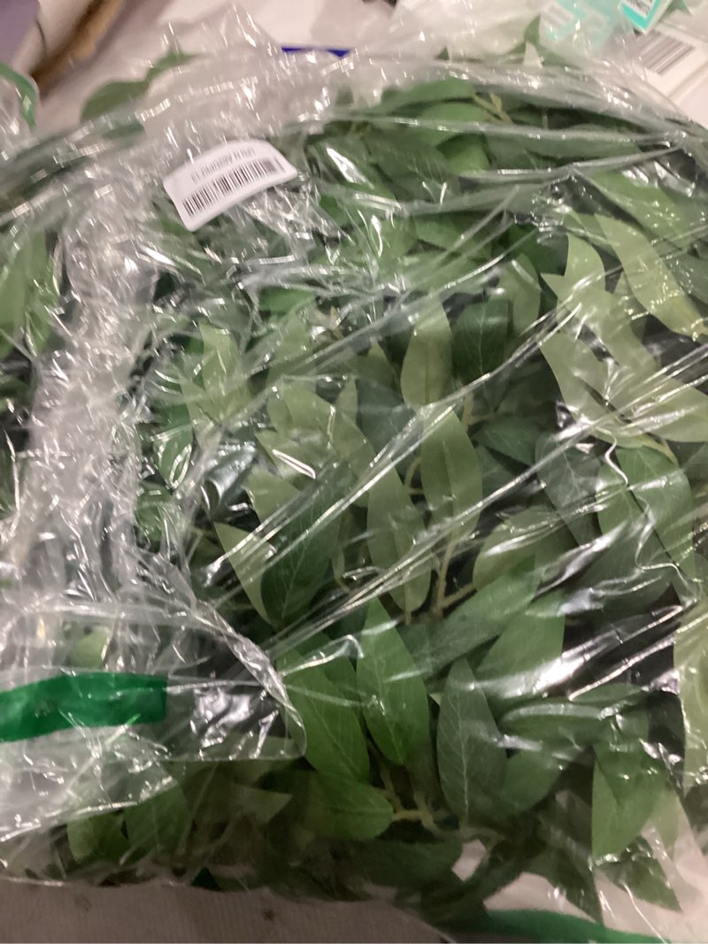 Condition photo showing As Is for 2 Pcs 10 Feet Artificial Vines Garland Faux Italian Ruscus Vine Twigs Silk Green Leaves Greenery Garland for Wedding Table Centerpieces Arch Decor Party Room Home Garden Office Wall Decor