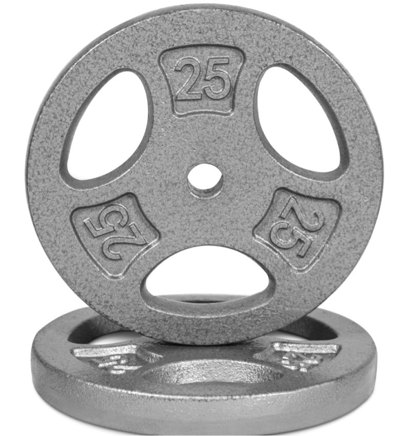 25lb round weight set of 2 grey