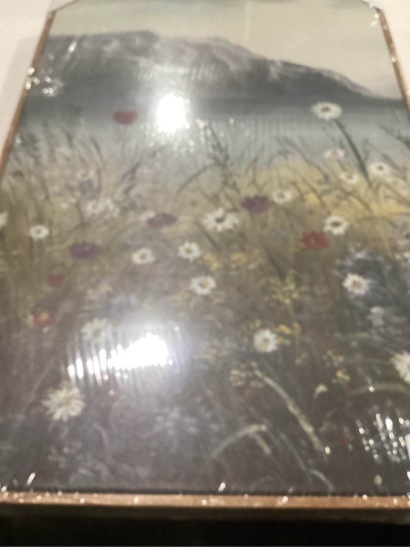Condition photo showing New/Like New for SHENIFY Vintage Landscape Framed Wall Art Riverside Wildflower Field Scenery Farmhouse Decor Retro Painting for Living Room Bedroom Ready to Hang Wall Artwork - 16x24in3pcs Natural Framed Riverside Wildflower 24L" x 16W" x 3PCS Natural