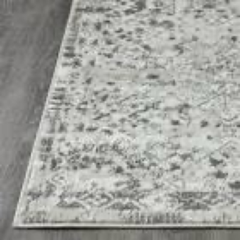 Loomaknoti Rhane Alreka 3’3” x 5’3” Oriental Indoor Area Rug,Gray