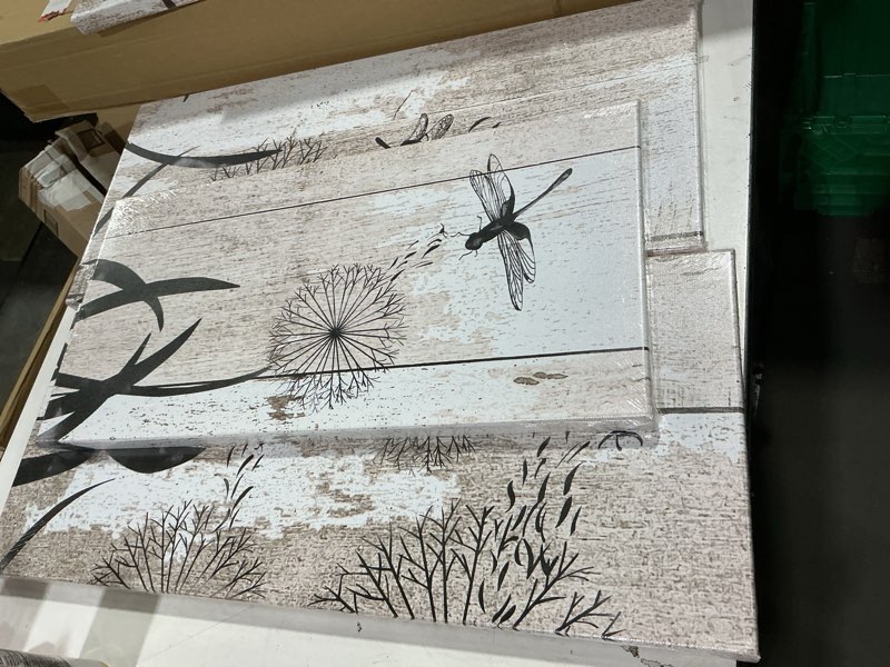 Condition photo showing New/Like New for Welmeco 5 pieces large abstract dragonfly with dandelion giclee print canvas wall art on rustic beige wood