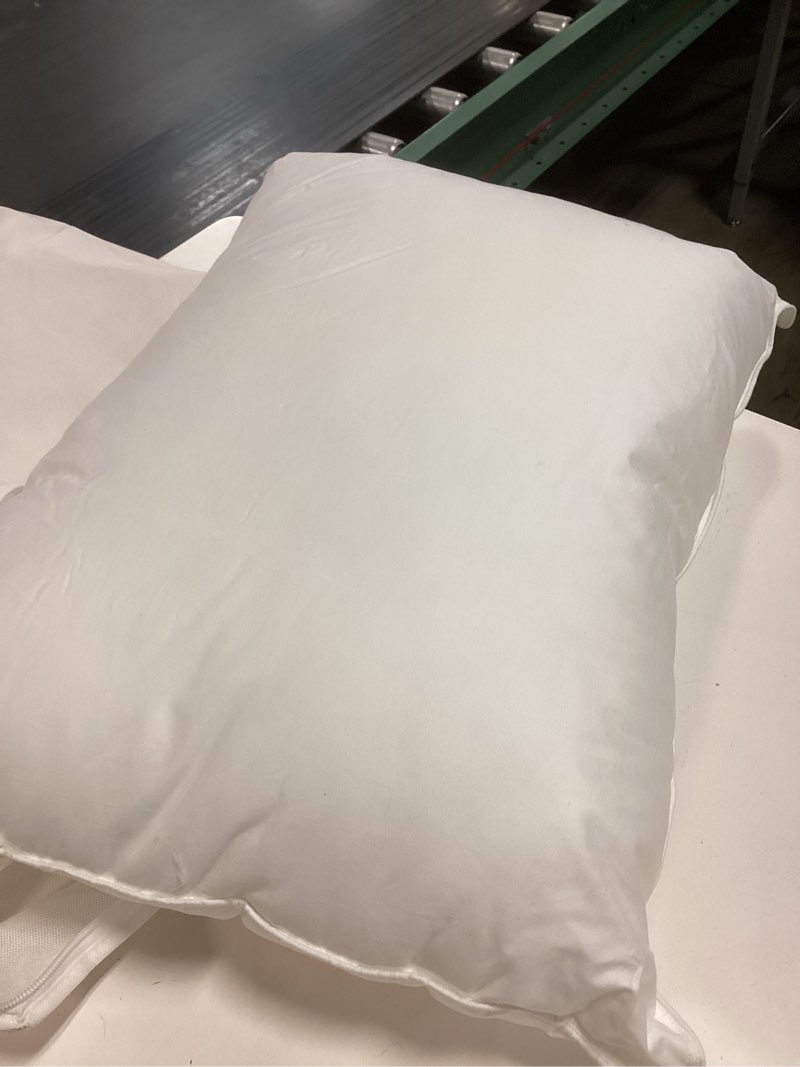 Condition photo showing Good Condition for quince premium down pillow standard