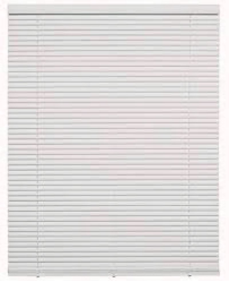 Project source 1 in cordless vinyl mini blind 47in x 65 in