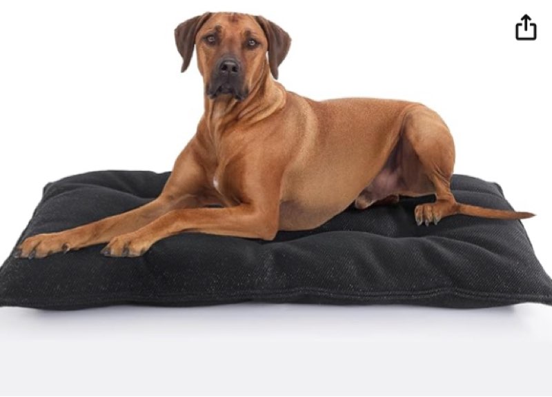 WooPetty Chew Proof Indestructible Dog Bed for Large Dogs, Durable Dog Bed for Aggressive Chewers, U