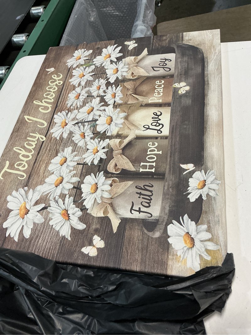 Condition photo showing Good Condition for rustic wall art daisy butterfly canvas prints flowers country wall art inspirational picture for liv