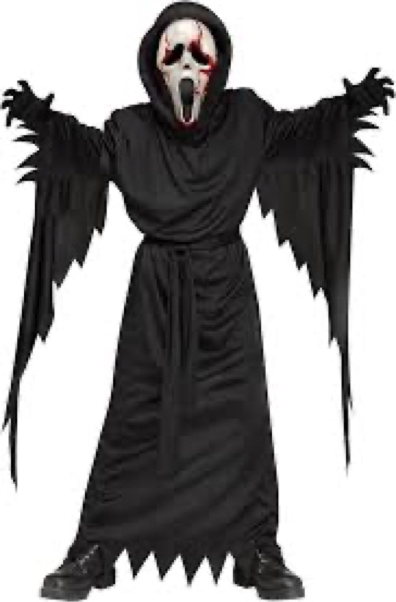 Fun World Licensed Ghost Face Child Costume