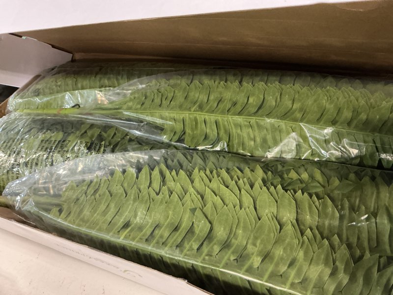 Condition photo showing Good Condition for forest prince 35" fake ferns, 4 large artificial bonston ferns bushes plants with 39 fronds for outdoors garden patio porch entrance low maintain home decor 35" 4 pcs