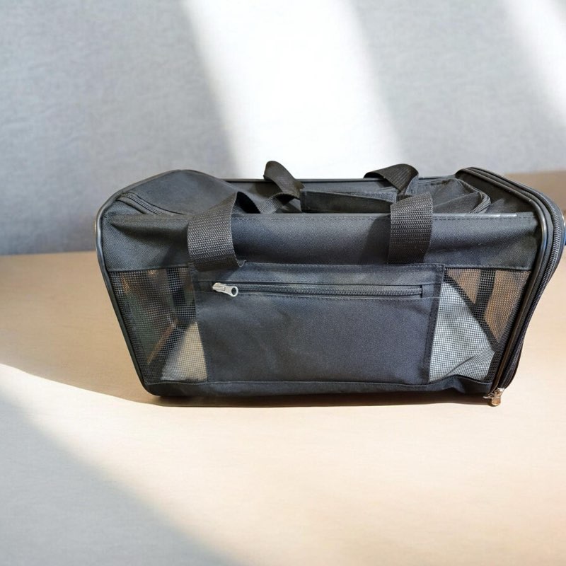 Travel Pet Carrier - Large, Black, Vented