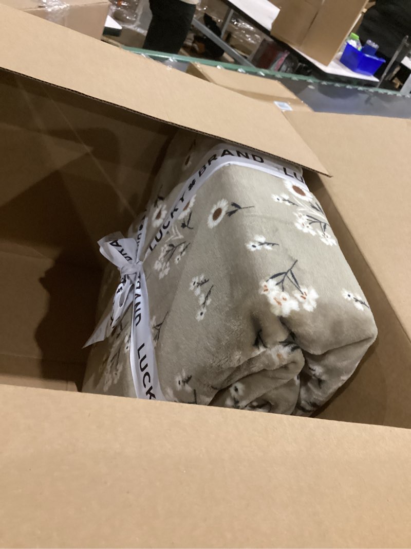 Condition photo showing New/Like New for Lucky Brand Daisy Beige Floral 66\"X90\" Cozy Plush Blanket - Premium Microfiber Throw for Luxurious Comfort and Style Twin/Twin XL Size Beige 66\"x90\" Twin/Twin XL