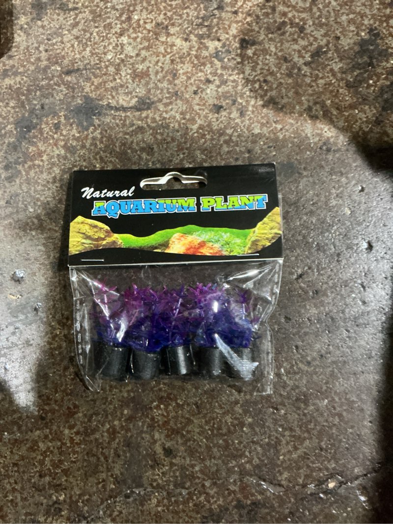 Condition photo showing New/Like New for Underwater Treasures Mini Plant - Violet - 1.5  - 5 pk