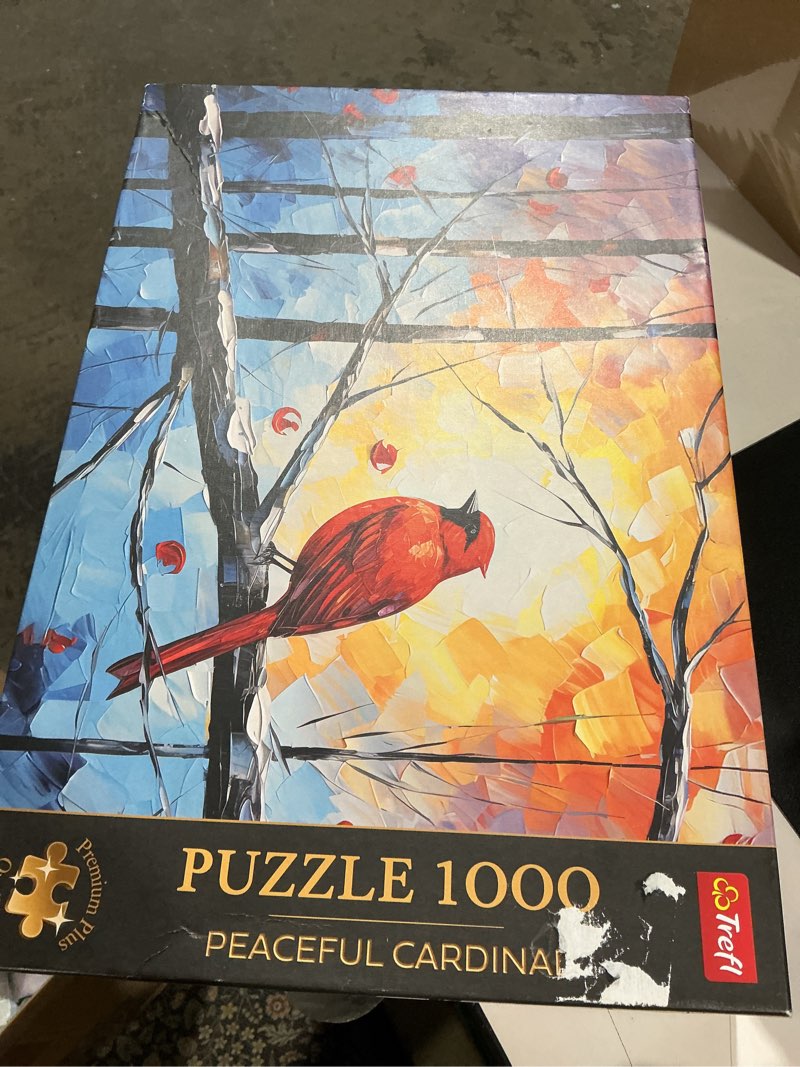 Condition photo showing As Is for (similar) ceaco - thomas kinkade harry potter - hagrid’s hut - 1000 piece silver select jigsaw puzzle - challenging puzzles for adults – precision-cut pieces, beautiful artwork, and hours of fun