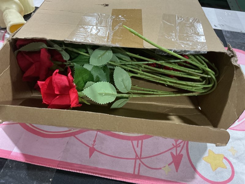 Condition photo showing As Is for Jexine 50 Pcs Artificial Rose Flower Bulk Realistic Silk Fake Roses with Long Stem Plastic Artificial Flower Bouquet Real Looking for Home Wedding Centerpieces Party Decoration(Red)