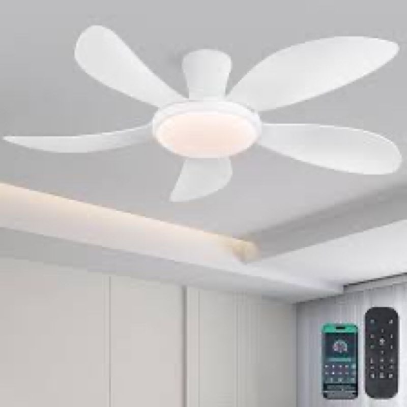 48 inch 5-blade modern low profile ceiling fans with lights and remote/app