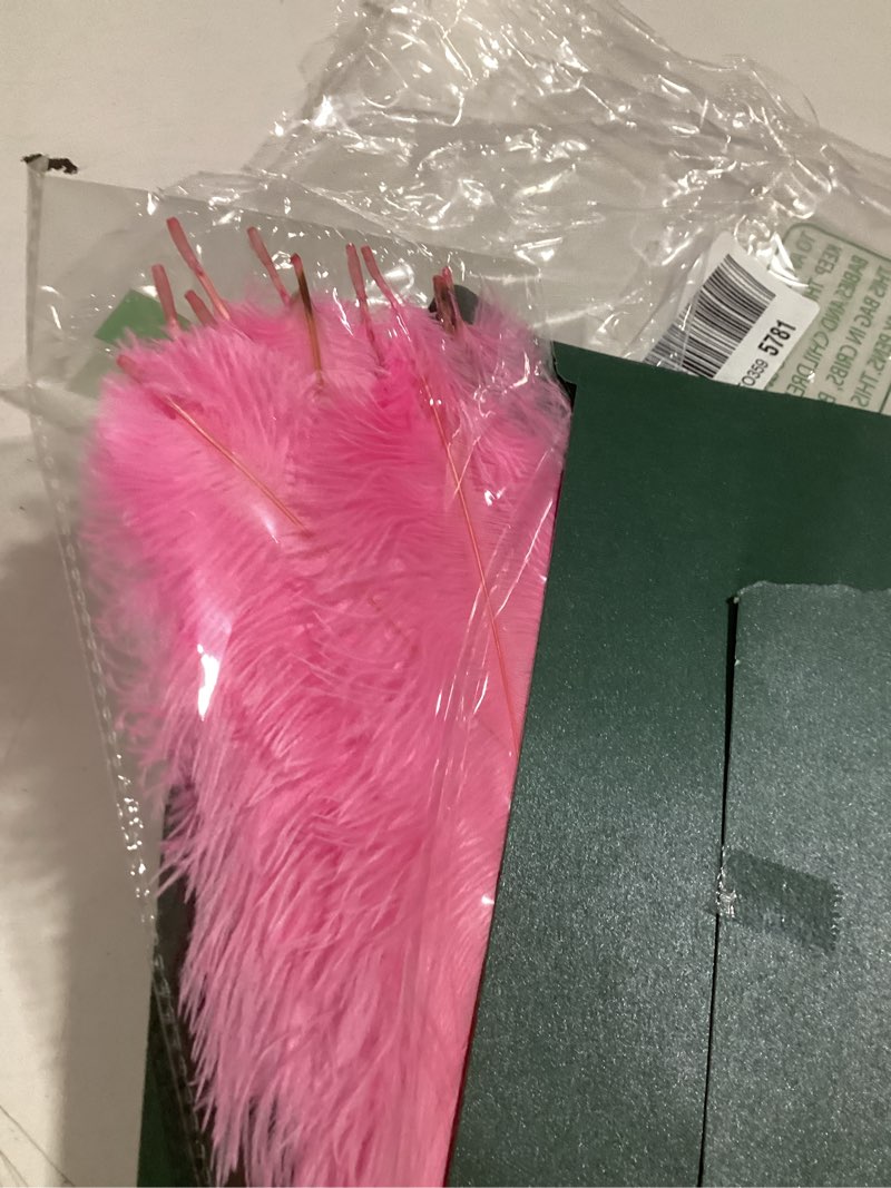 Condition photo showing Good Condition for THARAHT Pink Ostrich Feathers 12pcs Natural Bulk 8-10Inch 20cm-25cm for Crafts Wedding Party Centerpieces Flower Arrangement Easter Gatsbi and Home Decoration Feathers 8-10Inch-12pcs Pink