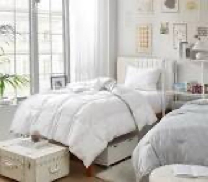 quince premium down comforter, twin, down