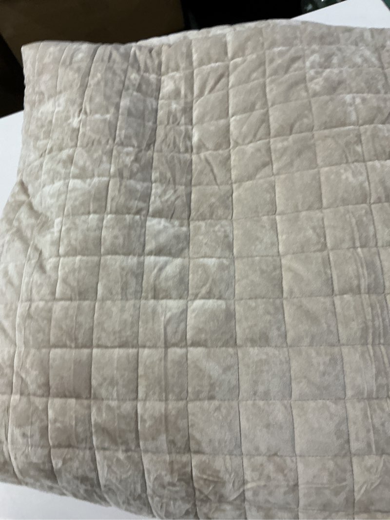 Condition photo showing Good Condition for RECYCO Luxury Velvet Quilt Set Full Queen Size Bedding Sets, Ultra Soft Velvet Comforter Set, Lightweight Channel Box Stitch Oversized Bedspread Coverlet for All Season, with 2 Shams, Beige 1 Pcs