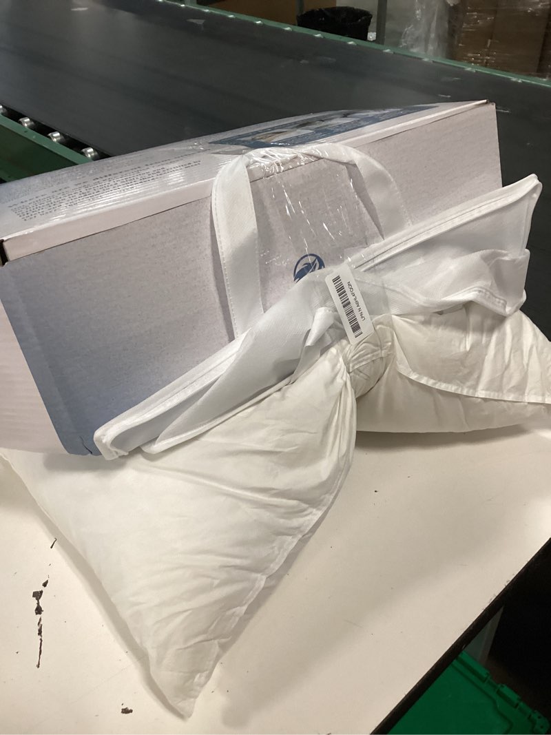 Condition photo showing Good Condition for canadian luxury goose down pillow standard size, 750 fill power, 100% cotton with teflon shell- ultra comfort sleep pillows - bed pillows for back, stomach(white,standard(pack of 2)) white standard(pack of 2)
