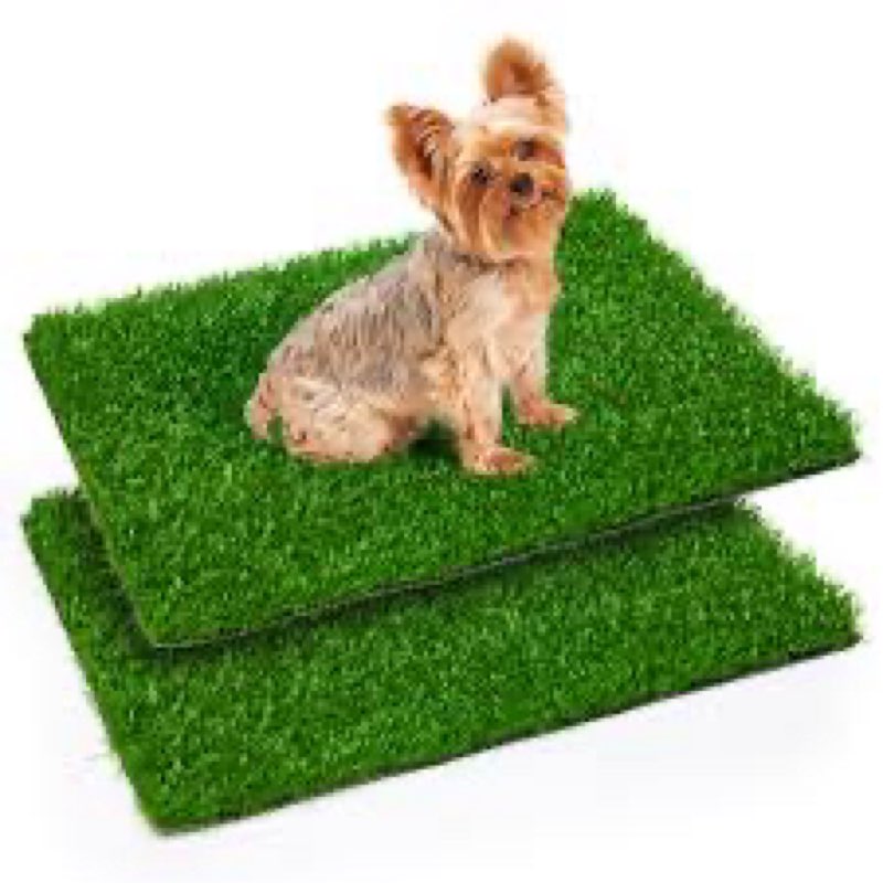Oiyeefo grass