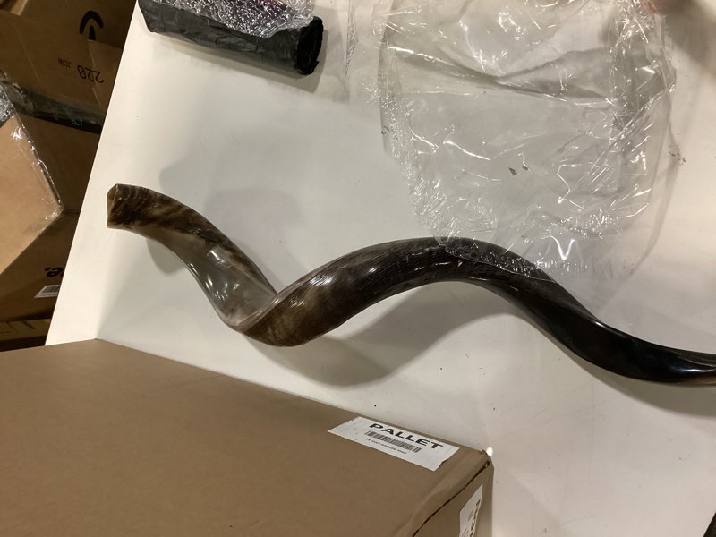 Condition photo showing Good Condition for Full Polished Handcrafted Kosher Kudu Yemeni Shofar from Israel – Musical Horn, Cleaning Brush, Anti Odor Spray, & Shofar Bag – Decorative, Functional Gifts for Women & Men by Holy Voice. (32"-36")