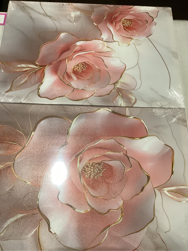 2 panel rose canvas set pink/gold 