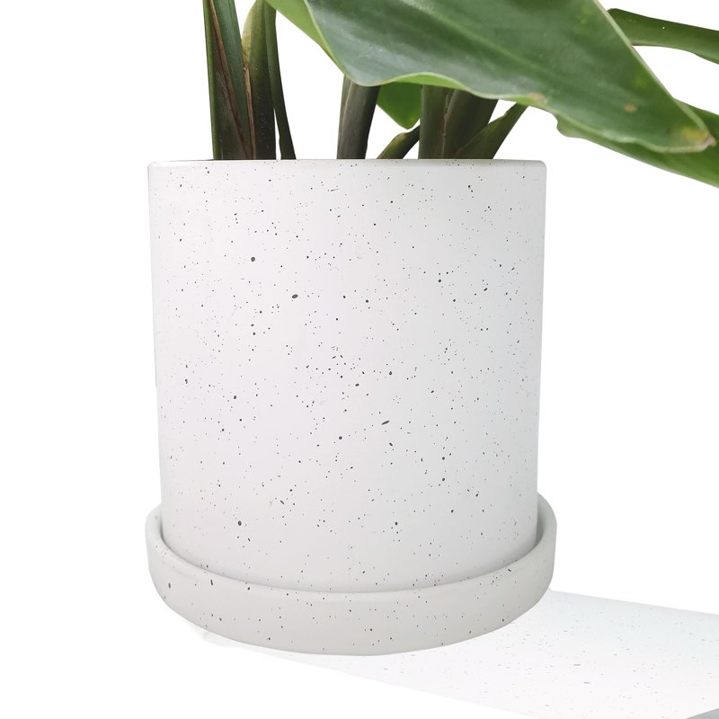 Toosbuc Plant Pot 6 Inch Ceramic Planter Pot with Drainage Hole and Saucer for Indoor Outdoor Plants Modern Cute Little Spot Flowerpot for Home Garden Office Decor (White, 6inch)