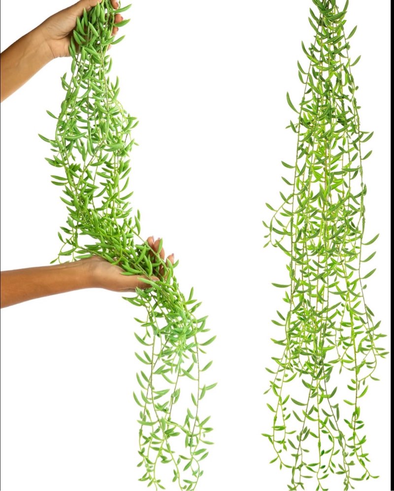 SEEKO Succulents Extra Large Fake Seaweed (Pack of 2, 33" Long) - Artificial Succulents Unpotted - String of Pearls 2 pc (33”)