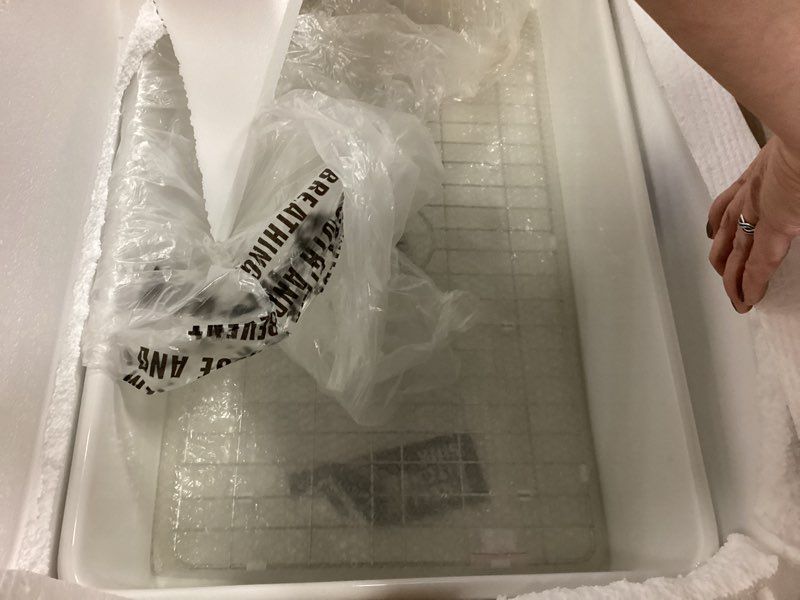 Condition photo showing New/Like New for White Farmhouse Sink 33 x 20 Inch, Large Firecaly Apron Front Undermount Farm Sink Heavy Duty Deep Single Bowl, with Custom Accessories 2 Types, Pure White, for Kitchen White 33"x20" Farmhouse