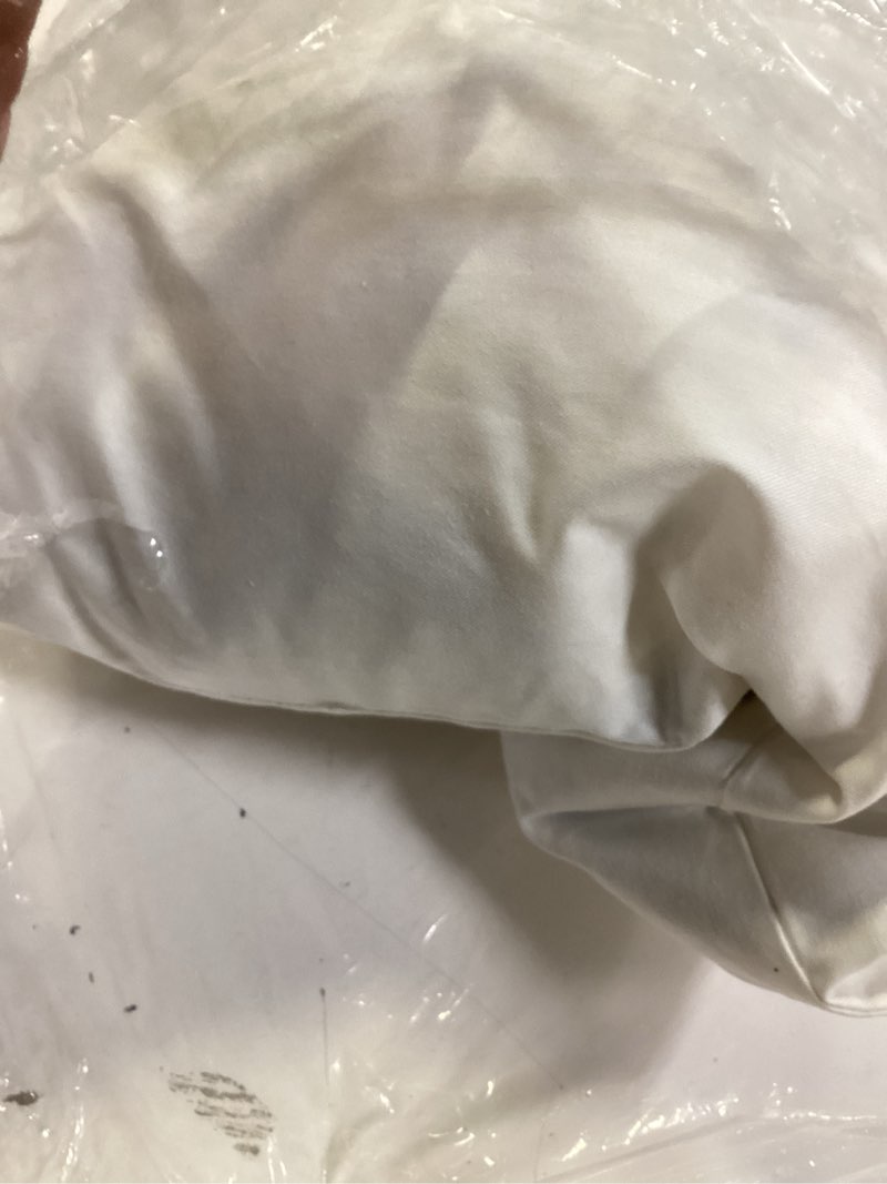 Condition photo showing As Is for premium feather pillow insert (set of 1), 12x20, no color