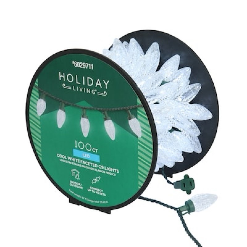 Holiday Living 100-count 66-ft White LED String Christmas Lights