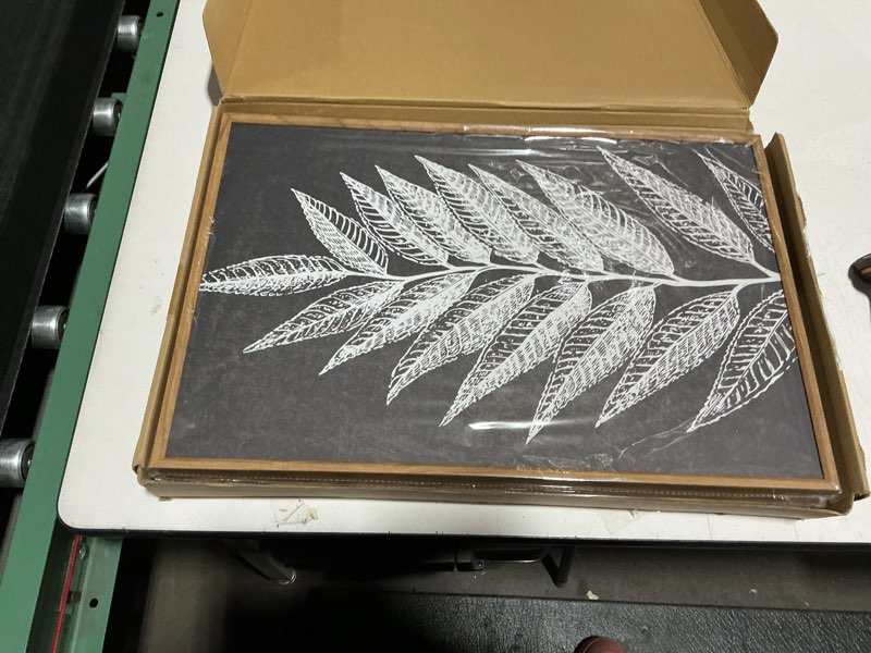 Condition photo showing Good Condition for houria abstract boho fern leaf floral framed canvas wall art set,vintage botanical leaves wildflower decor,modern minimalist nature inspired beige & brown artwork for living room,farmhouse-16 x24 x3 beige brown leaf wall art 16"l x 24"w