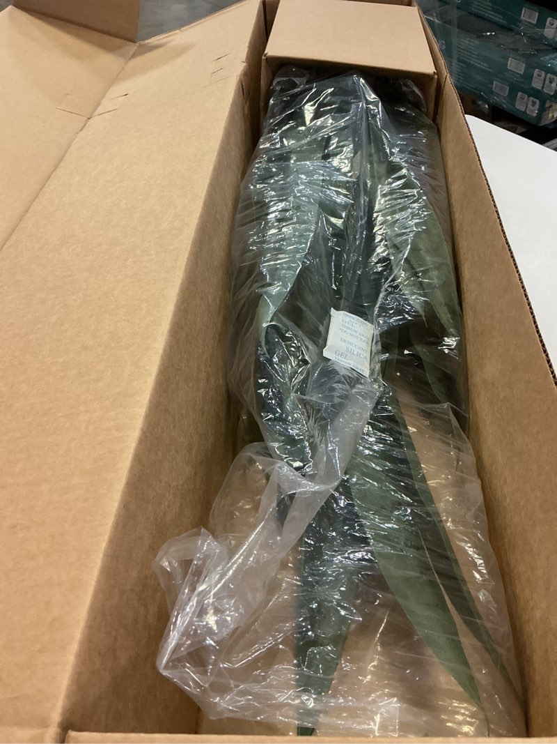 Condition photo showing New/Like New for nearly natural, green 4855 35in. sansevieria with black planter