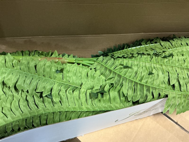 Condition photo showing Good Condition for forest prince 42" artificial boston fern large bush plants, 2 bundles of fake ferns with 65 fronds for outdoors home decor