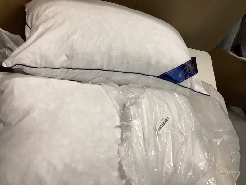 Condition photo showing As Is for Richtry Premium Memory Foam 16 x 26 Inch Throw Pillow Insert - Decorative Lumbar Throw Pillow for Li (2 pack )