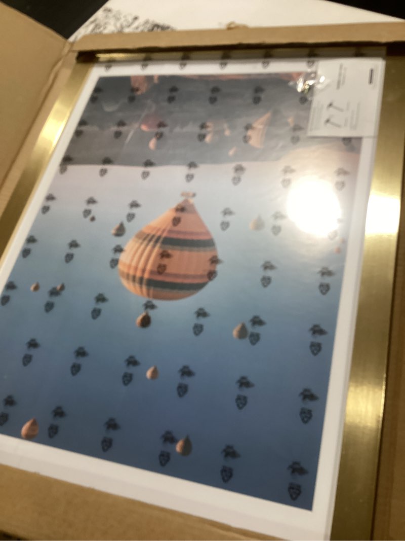 Condition photo showing Good Condition for 3x4 Picture Frame Gold for Wall Hanging or Tabletop, Wall Mounting Horizontally or Vertically, 3 x 4 Wall Gallery Poster Photo Frame with Shatter Resistant Plexiglass, Gold Gold 3x4 inch