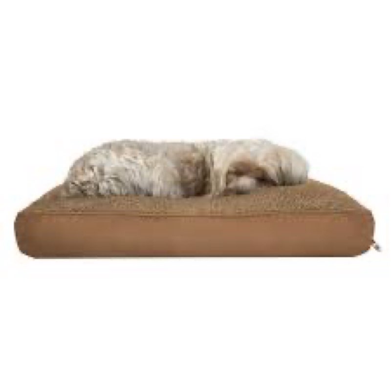 pet bed
