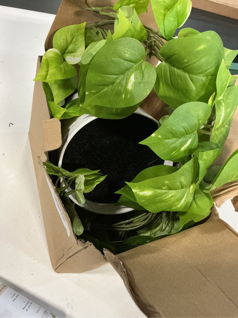 Condition photo showing Good Condition for ROVALA Silk Plants for Home Decor Indoor in Pot Realistic Artificial Plants Fake Hanging Plants Faux Plants Indoor Fake Potted Plants Fake Plants for Shelves Bathroom Plants, Fake Pothos (Light Green) 01 Light Green