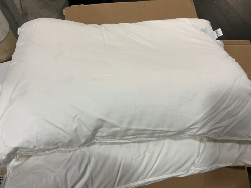 Condition photo showing Good Condition for luxe goose down pillow, standard, medium/firm ( set of 2 )