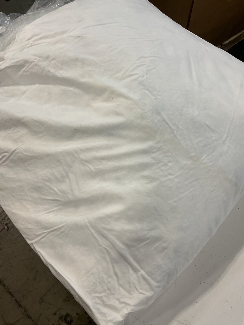 Condition photo showing As Is for premium feather pillow insert, 26x26, no color
