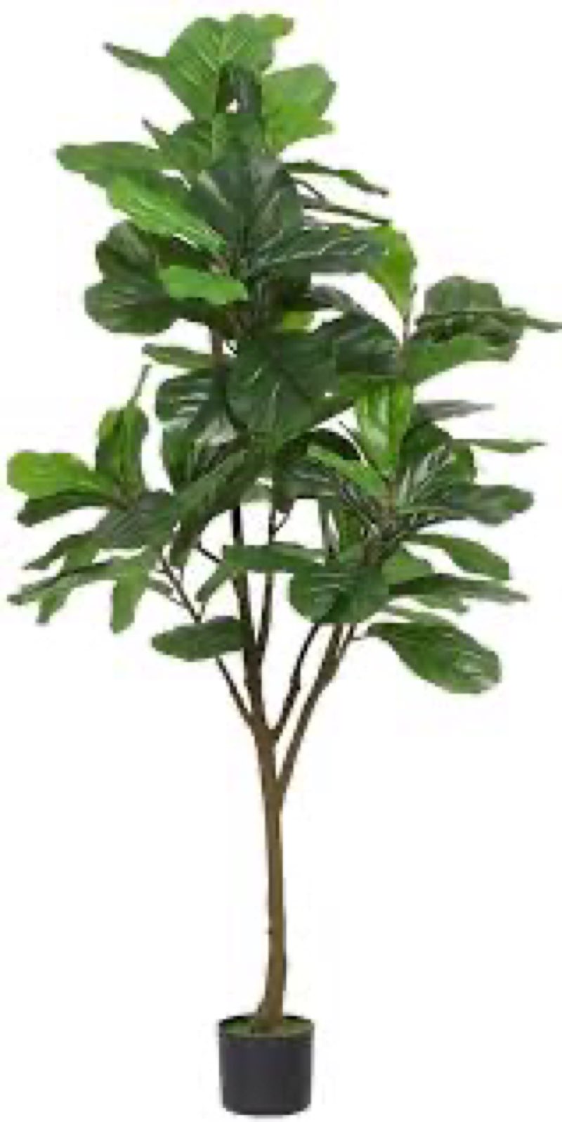 faux fiddle leaf fig plant