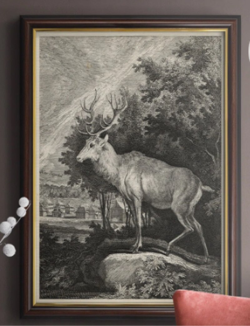 Woodland deer II-picture frame drawing print on canvas 27”x18”