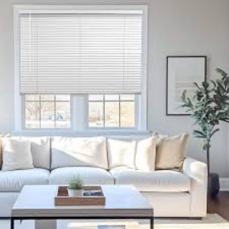 Assorted window blinds (differents color, models & sizes may vary package)  