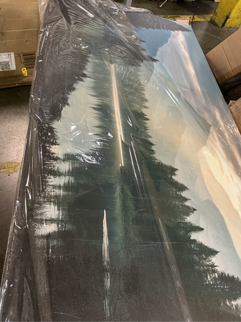 Condition photo showing Good Condition for wall art for living room large size canvas art wall decor for office modern bedroom decorations forest river landscape pictures paintings artwork wall mural aesthetic artwork 29x58 in 58"l x 29"w ink black